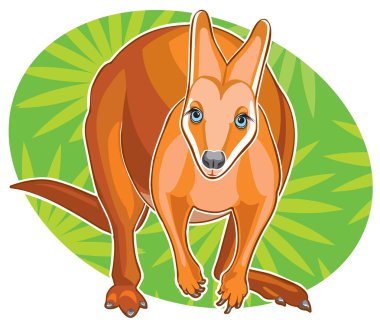 Drawing red kangaroo clipart