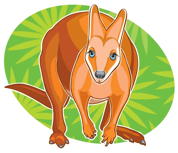 Drawing red kangaroo — Stock Vector