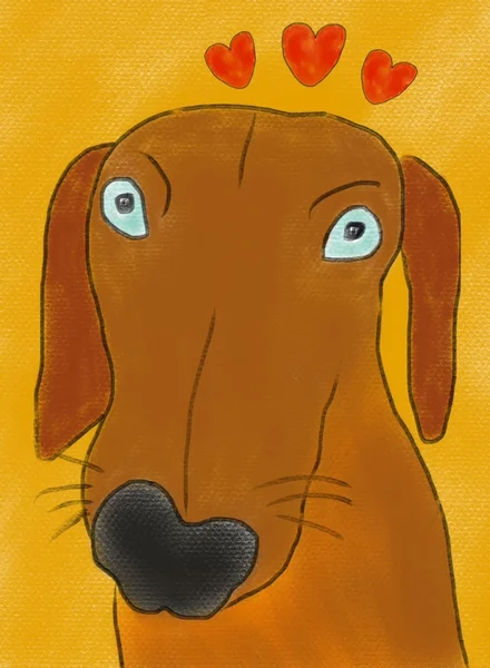 Adorável cão Dachshund — Fotografia de Stock