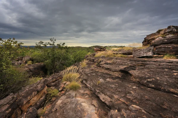 卡卡杜国家公园、 澳大利亚的景观 — 图库照片