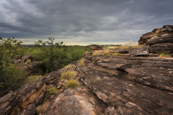 Paisaje del Parque Nacional de Kakadu, Australia —  Fotos de Stock