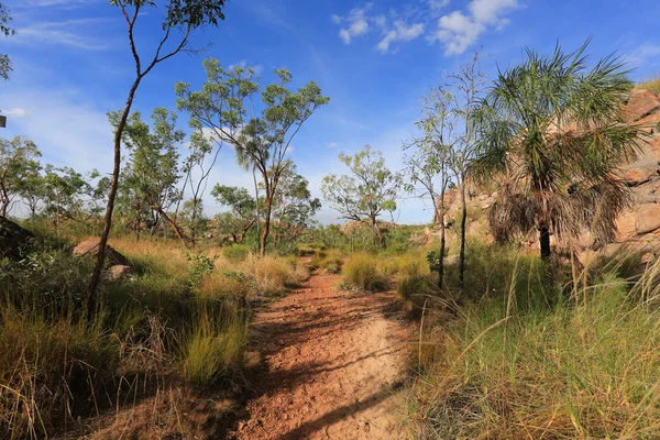 Landscape of Nitmiluk National Park — Stock Photo, Image