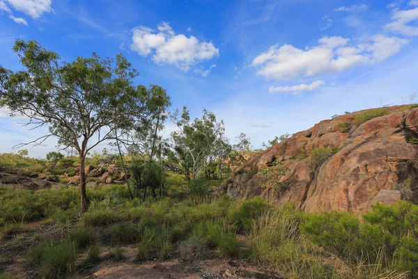 Landscape of Nitmiluk National Park — Stock Photo, Image