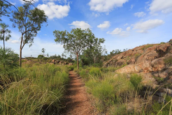 Landschap van nationaal park nitmiluk — Stockfoto