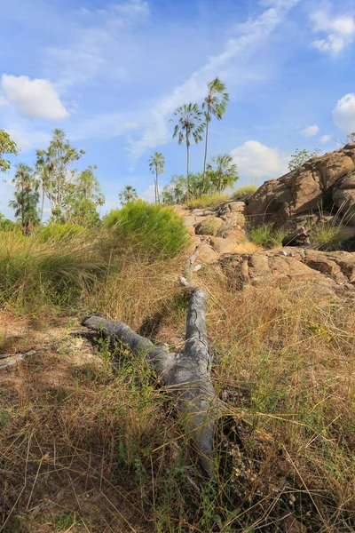 Parque Nacional del Paisaje de Nitmiluk —  Fotos de Stock