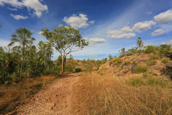 Landschap van nationaal park nitmiluk — Stockfoto