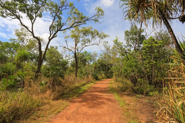 Путь через Национальный парк Какаду Лицензионные Стоковые Изображения
