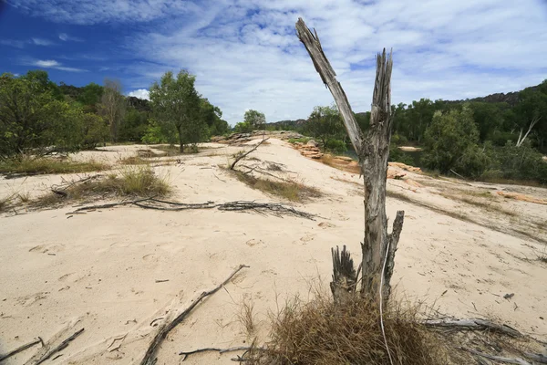 Landskapet i kakadu med alligator river — Stockfoto