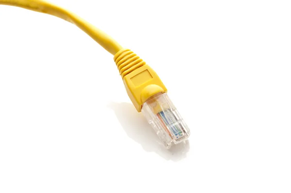 Keltainen Ethernet-kaapeli — kuvapankkivalokuva