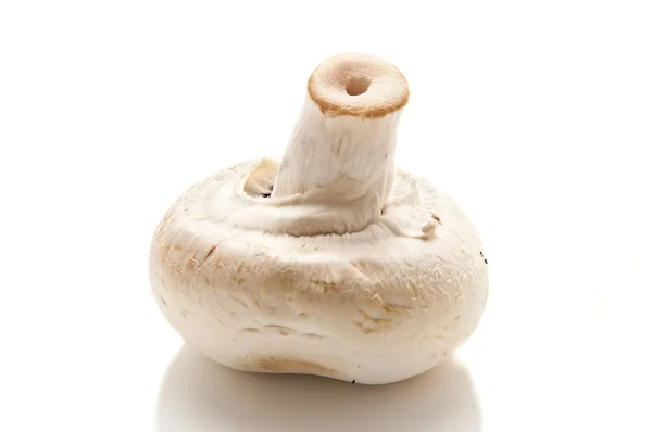 White Mushrooms — Stock Photo, Image