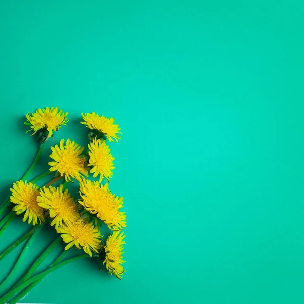 Svinge Gule Løvetannblomster Pastellgrønn Bakgrunn Flate Sjikt – stockfoto