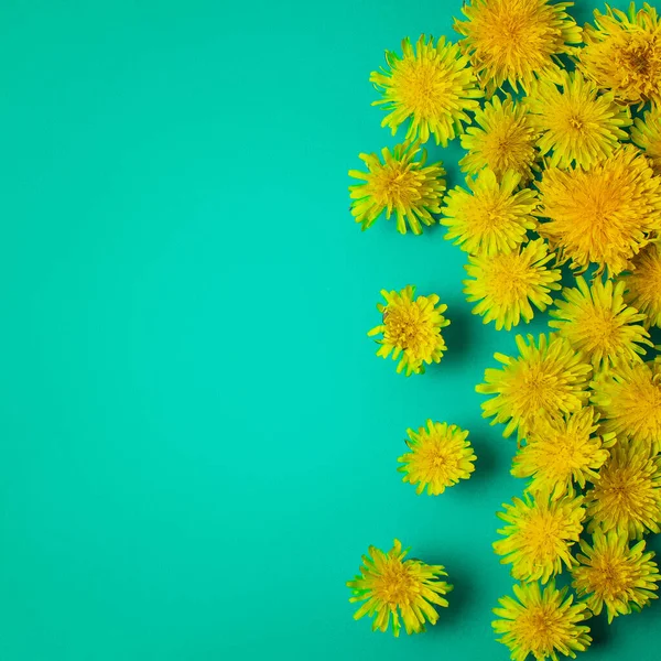 Dandelion Flat Lay Lot Dandelions Green Background —  Fotos de Stock