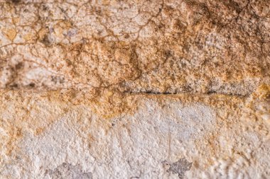 Duvardaki küf dokusu. Makro atış