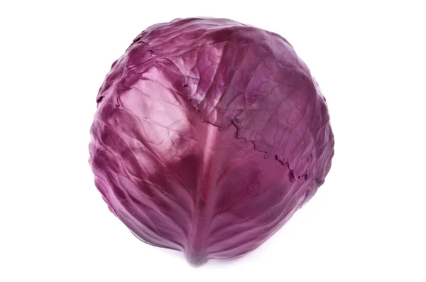 Rotkohl isoliert auf weißem Hintergrund — Stockfoto