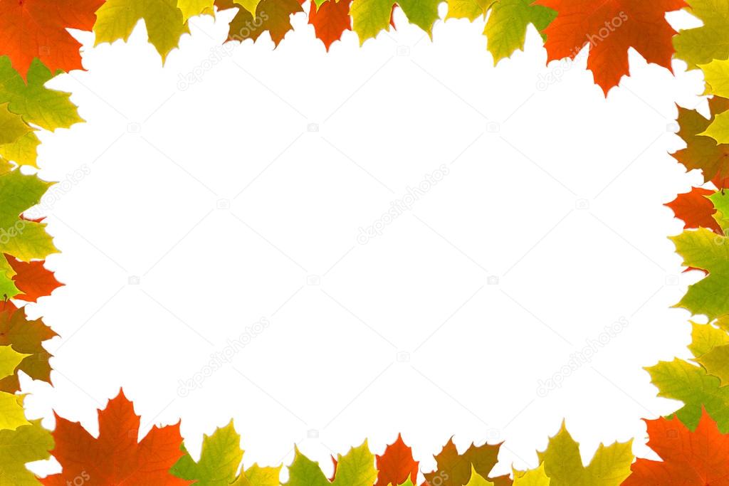 Autumn maple leafs background