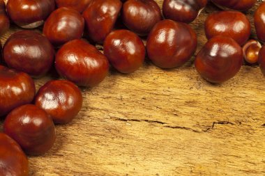 kestane rengi arka plan