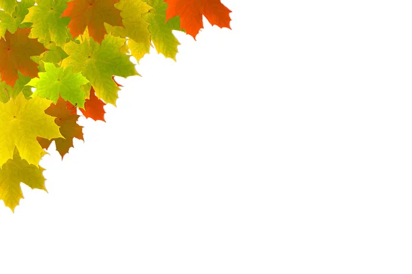 Podzimní maple leafs pozadí — Stock fotografie