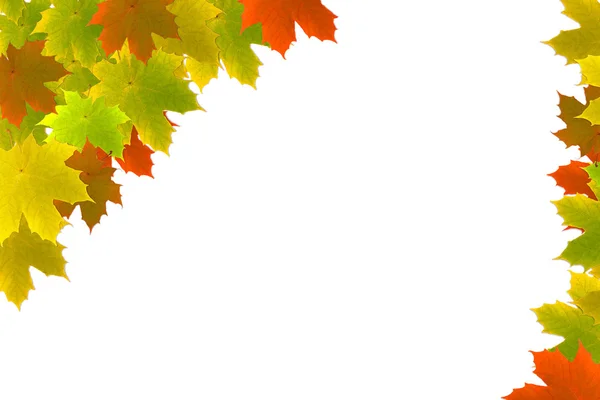 Maple leaves background — Stock Photo, Image