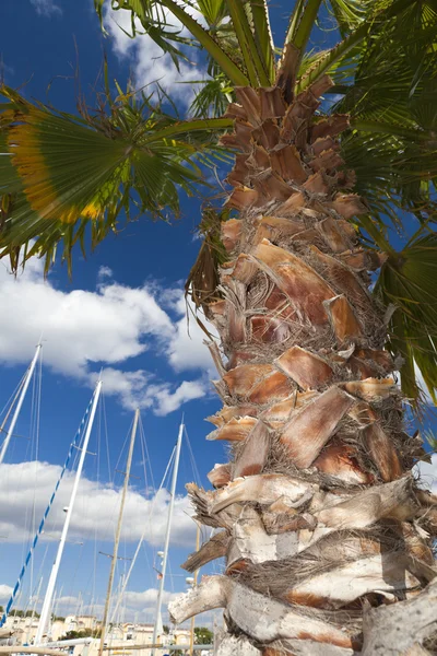 The Marina in Gruissan — Stock Photo, Image