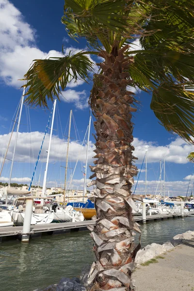 The Marina in Gruissan — Stock Photo, Image