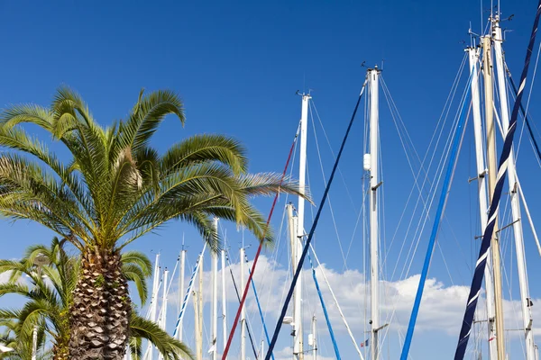 Varen masten en palmbomen — Stockfoto