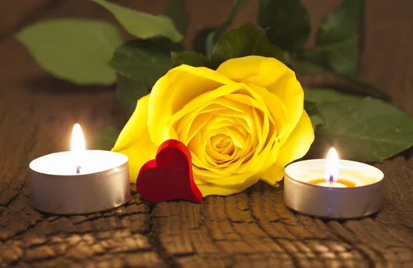 Желтая роза и свечи — стоковое фото