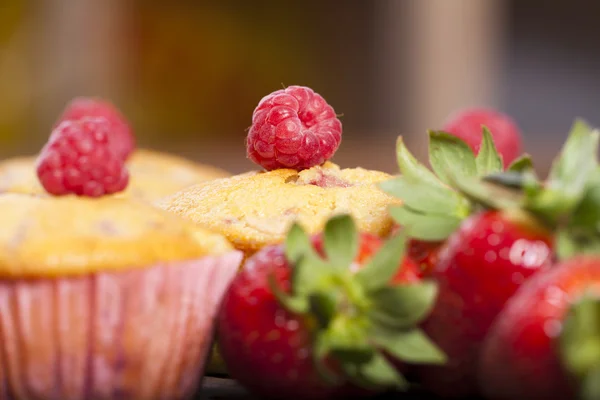 Tasty fruit muffins — Stock Photo, Image