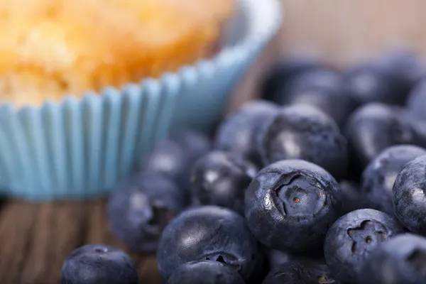 Blueberries and a muffin — Stock Photo, Image