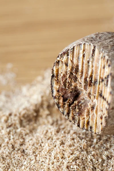 Macro shot of a nutmeg — Stock Photo, Image