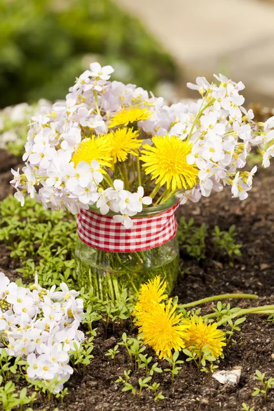 Colori della primavera — Foto Stock