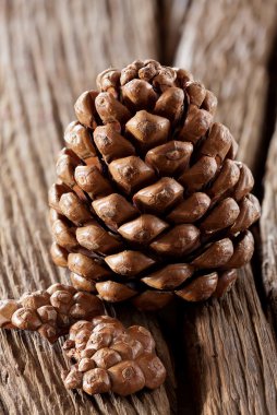 Pinecones