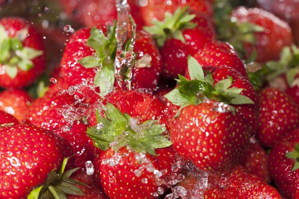Skörda färska jordgubbar under vattenstrålen — Stockfoto