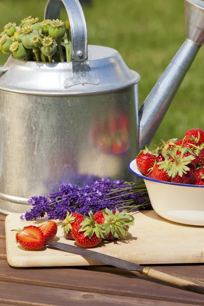 Jordgubbar, lavendel och vallmo kapslar — Stockfoto