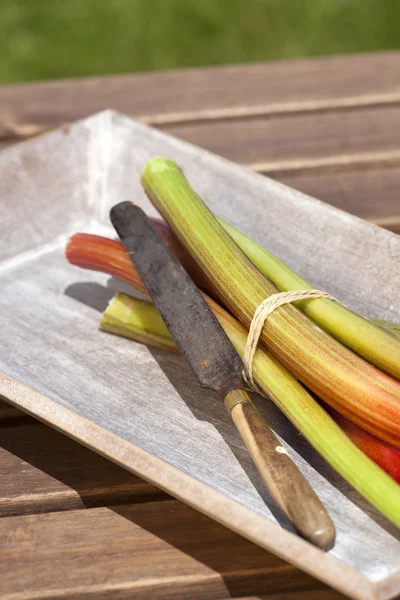 Rhubarb in wooden bowl — Stock Photo, Image