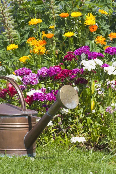 Gießkanne steht vor einem Blumenbeet — Stockfoto
