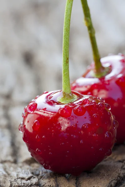 Cherry met waterdruppels — Stockfoto