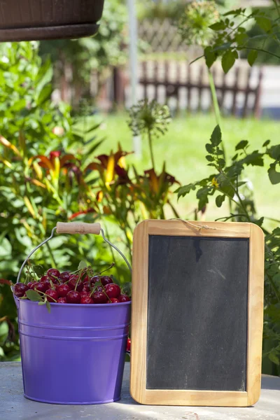 Kirschen und eine leere Schiefertafel — Stockfoto