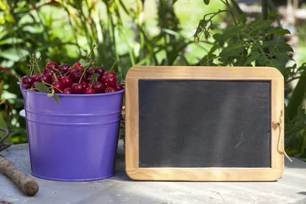 Frisch gepflückte Kirschen und eine Schiefertafel — Stockfoto