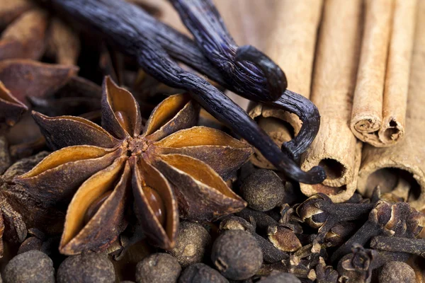 Assortment of spices — Stock Photo, Image