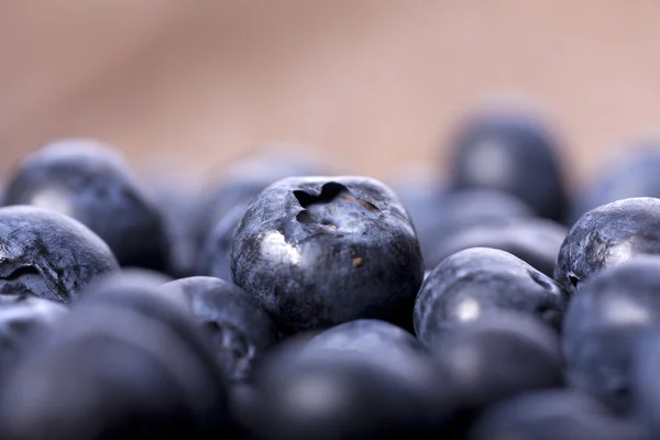 Close Up Of Blueberries — Stock Photo, Image