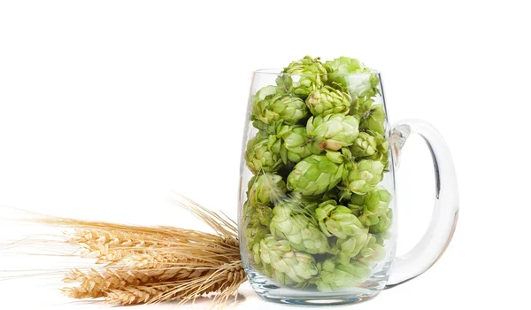 Bicchiere di birra con luppolo e spighe di grano — Foto Stock