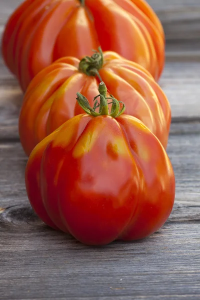 Três grandes tomates de bife em uma fileira — Fotografia de Stock