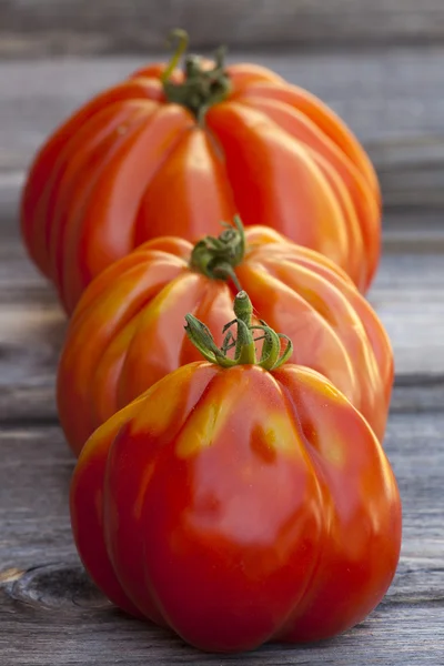 Tre grandi pomodori bistecca in una riga — Foto Stock