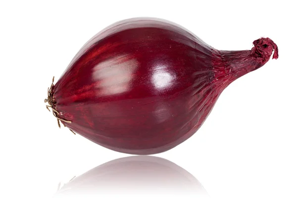 Cebolla roja fresca — Foto de Stock