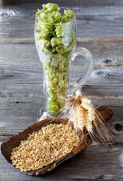 Hops, grain and cereal ears — Stock Photo, Image
