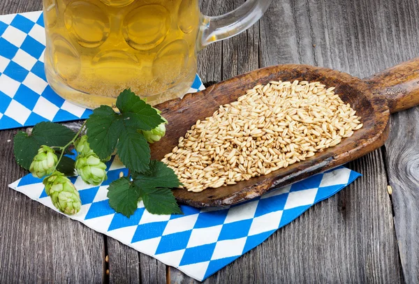 Glass of beer, hops and grains — Stock Photo, Image