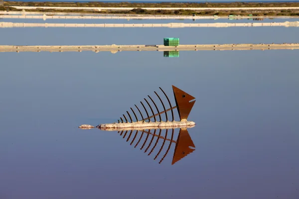 View over water surface of a salt basin — Stock Photo, Image