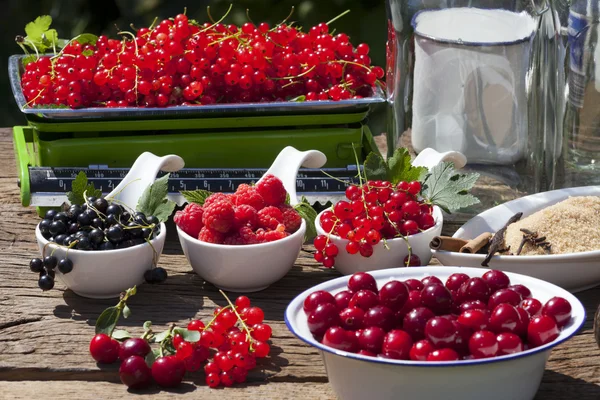 Frutos de verão frutados colhidos na hora — Fotografia de Stock