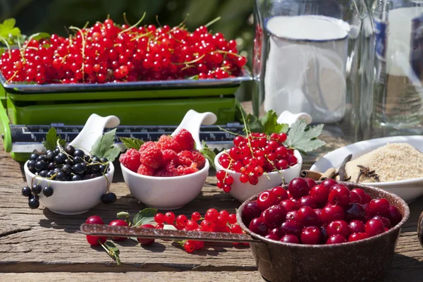 Zutaten für die Herstellung von Fruchtlikör — Stockfoto