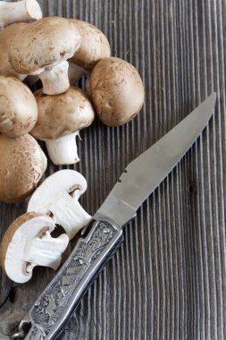 mantar ve dekoratif saplı bir av bıçağı